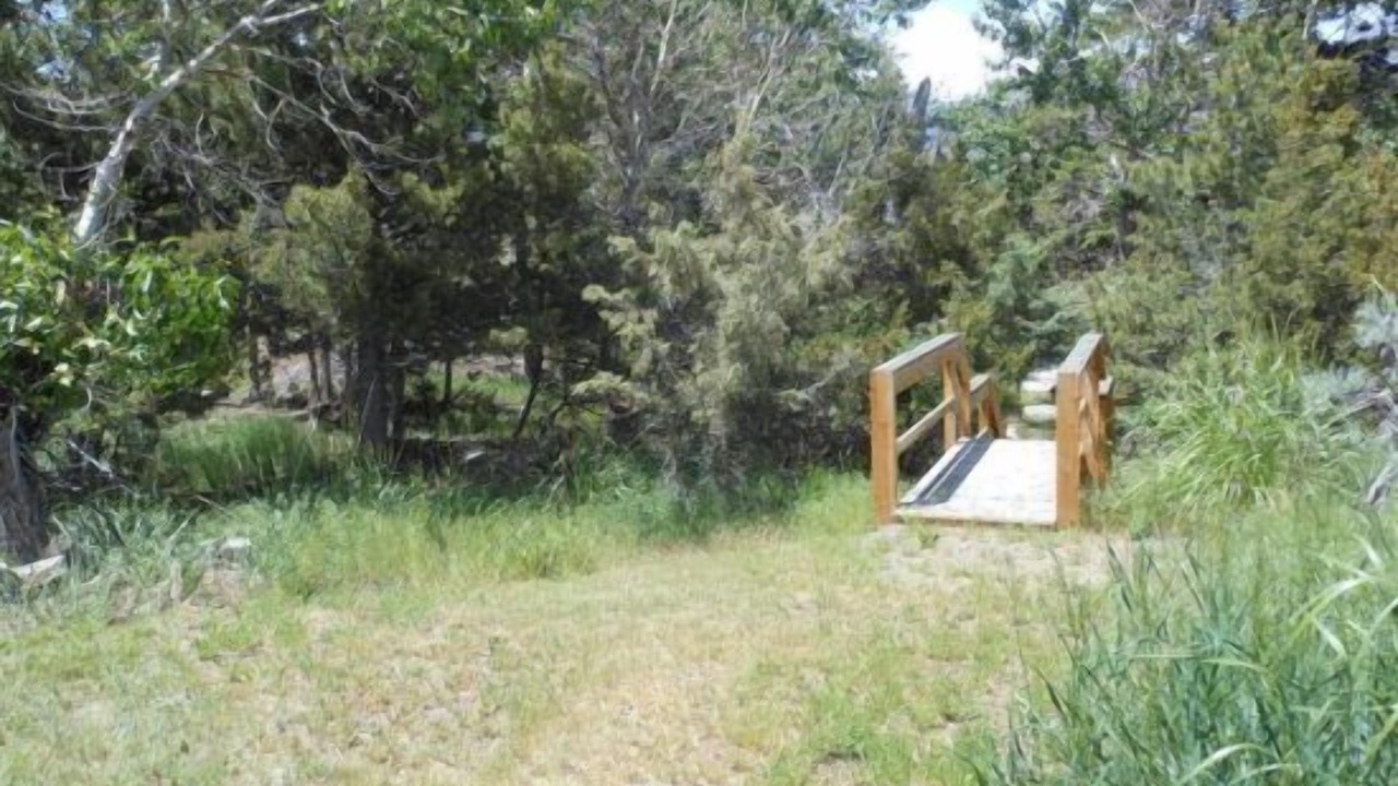 Photo of Others in Wapiti