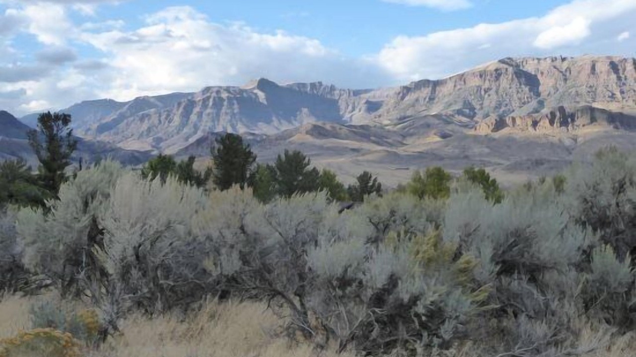 Photo of Others in Wapiti