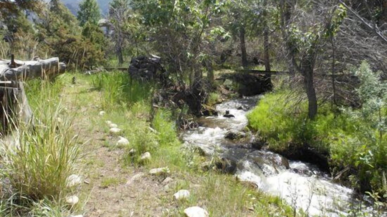 Photo of Others in Wapiti