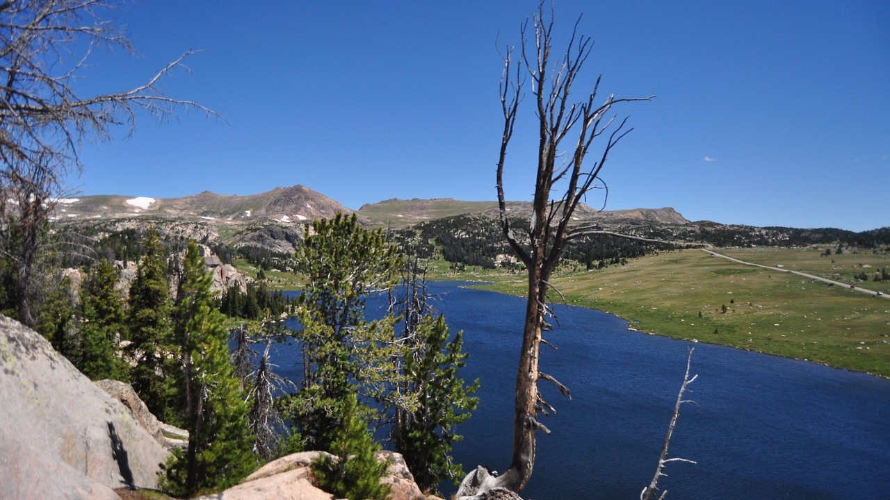 Photo of Outdoor in Cody