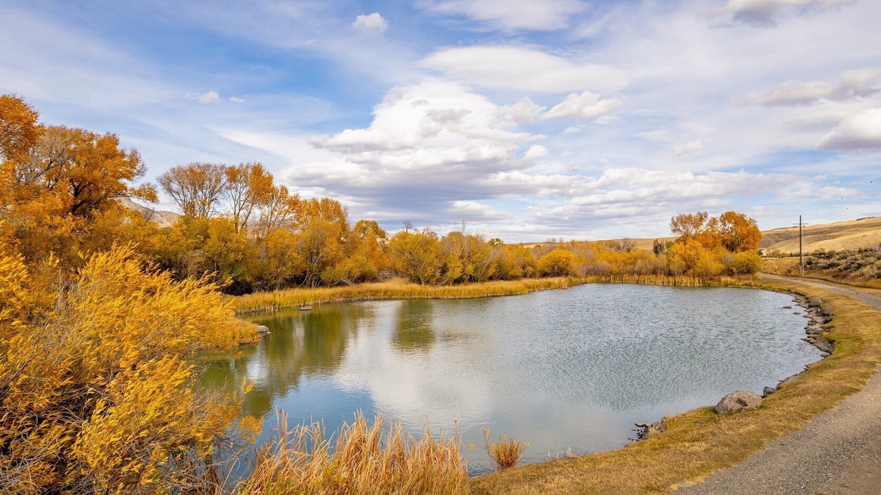 Photo of Others in Wapiti