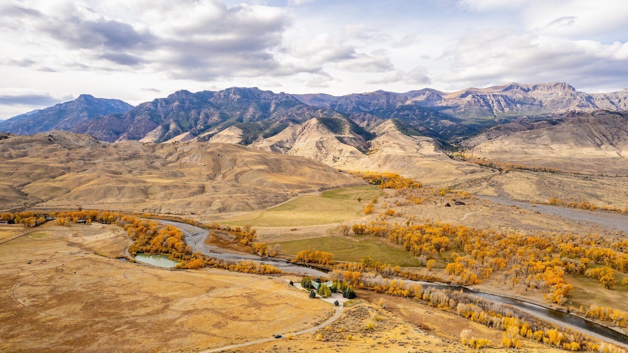 Photo of Others in Wapiti