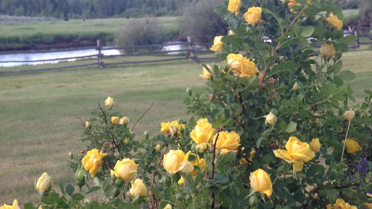 Photo of Outdoor in Glendevey
