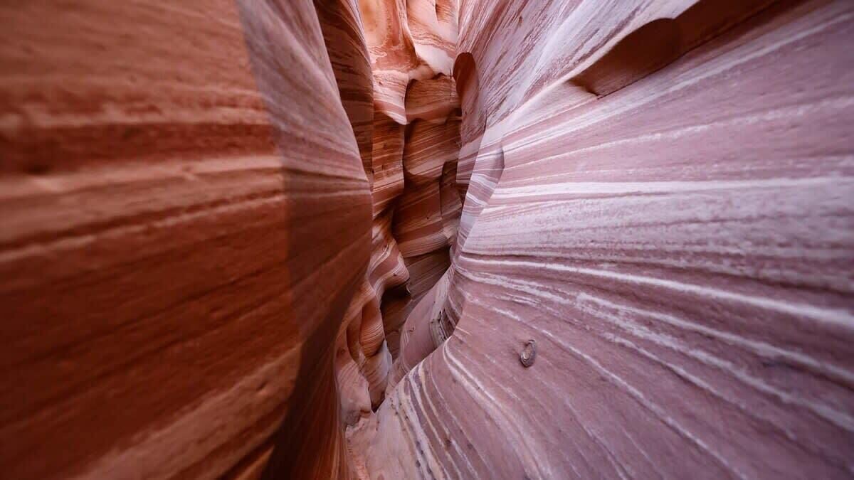 Photo of Others in Escalante