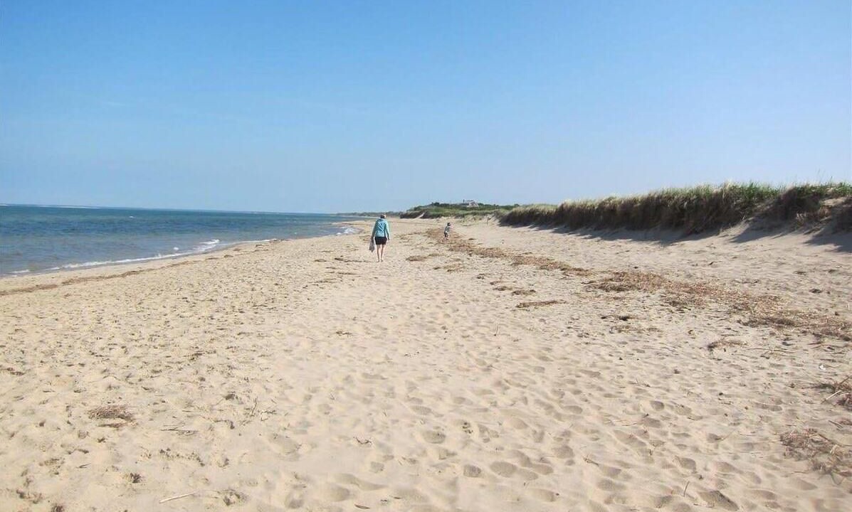 Photo of Others in Eastham