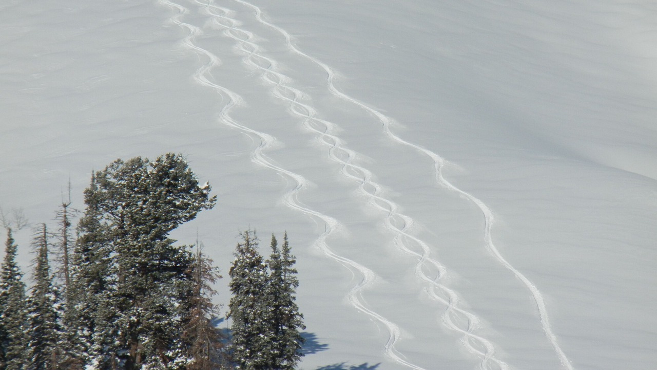 Photo of Others in Powder Mountain