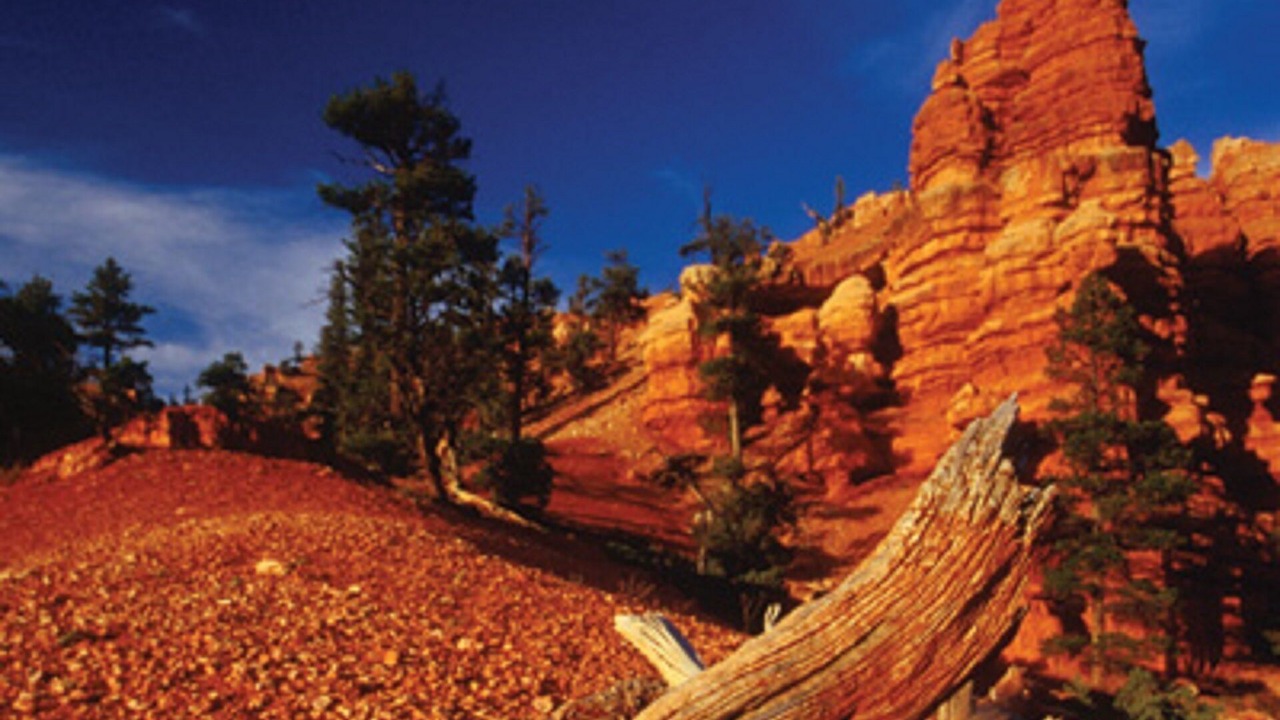 Photo of Outdoor in Wolf Creek