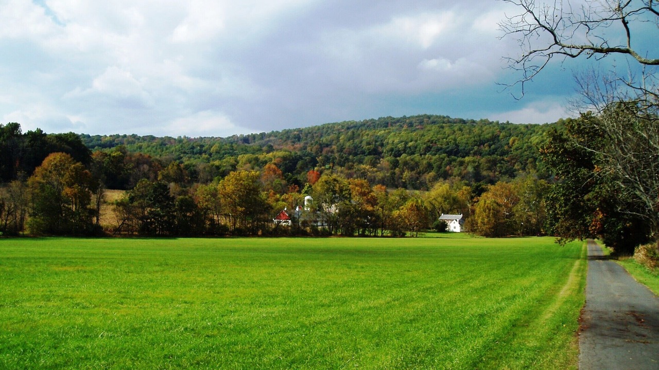Photo of Others in Riegelsville
