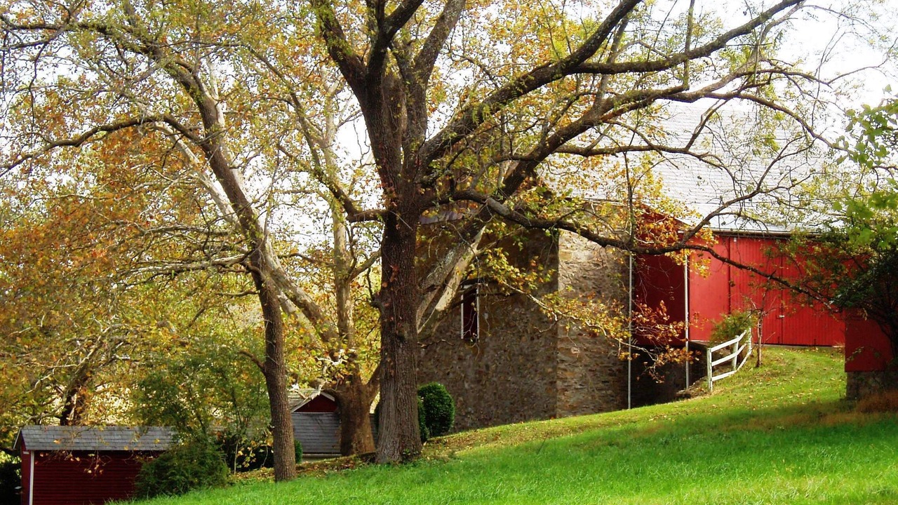 Photo of Others in Riegelsville