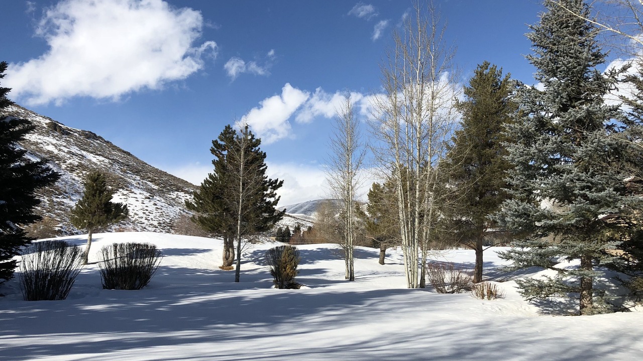 Photo of Others in Sun Valley