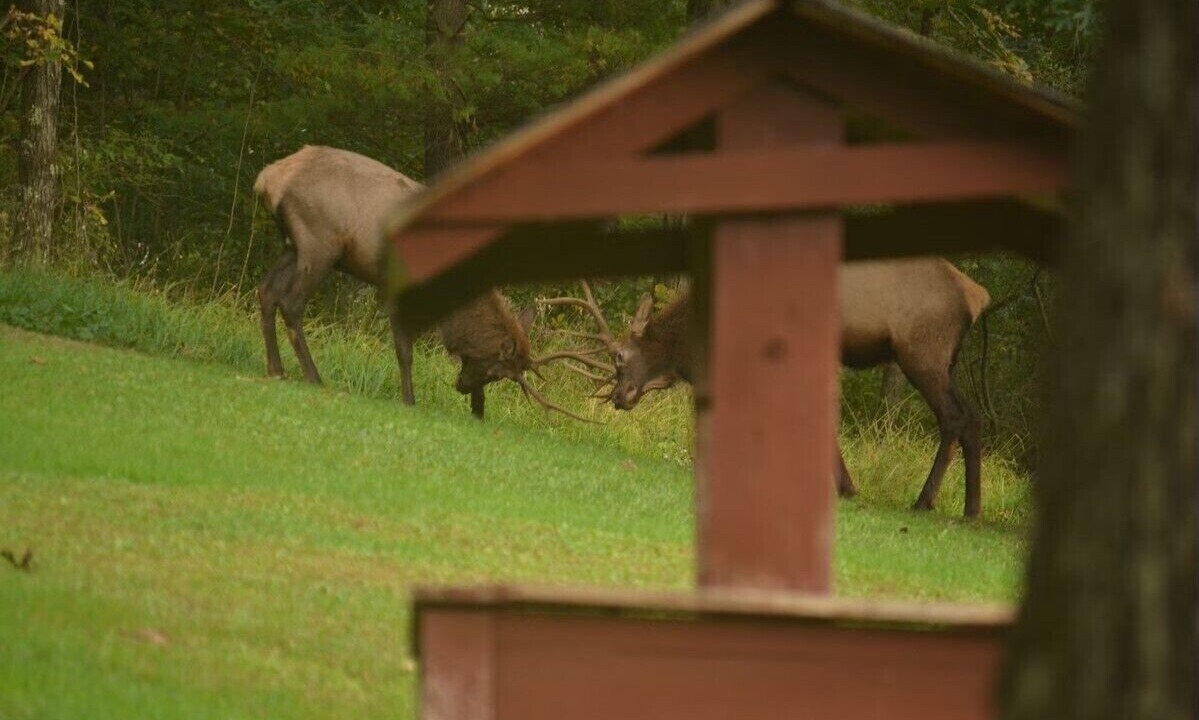 Photo of Others in Weedville