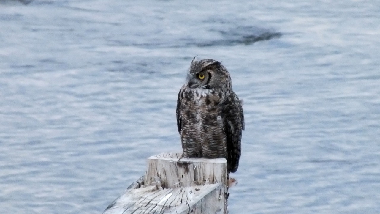Photo of Others in Broadwater County