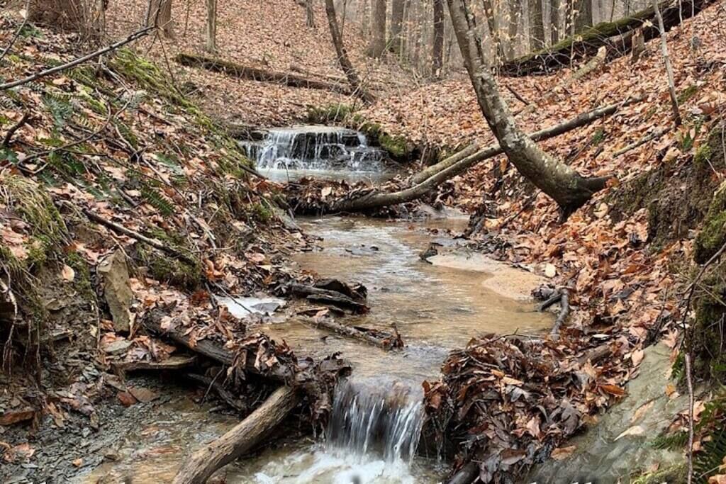 Photo of Others in Laurelville