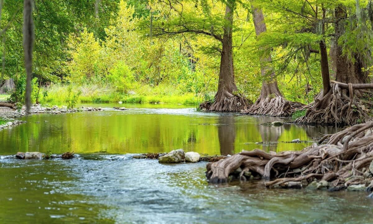 Photo of Others in Gruene