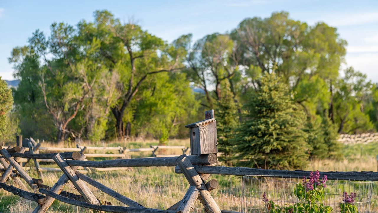Photo of Outdoor in Emigrant