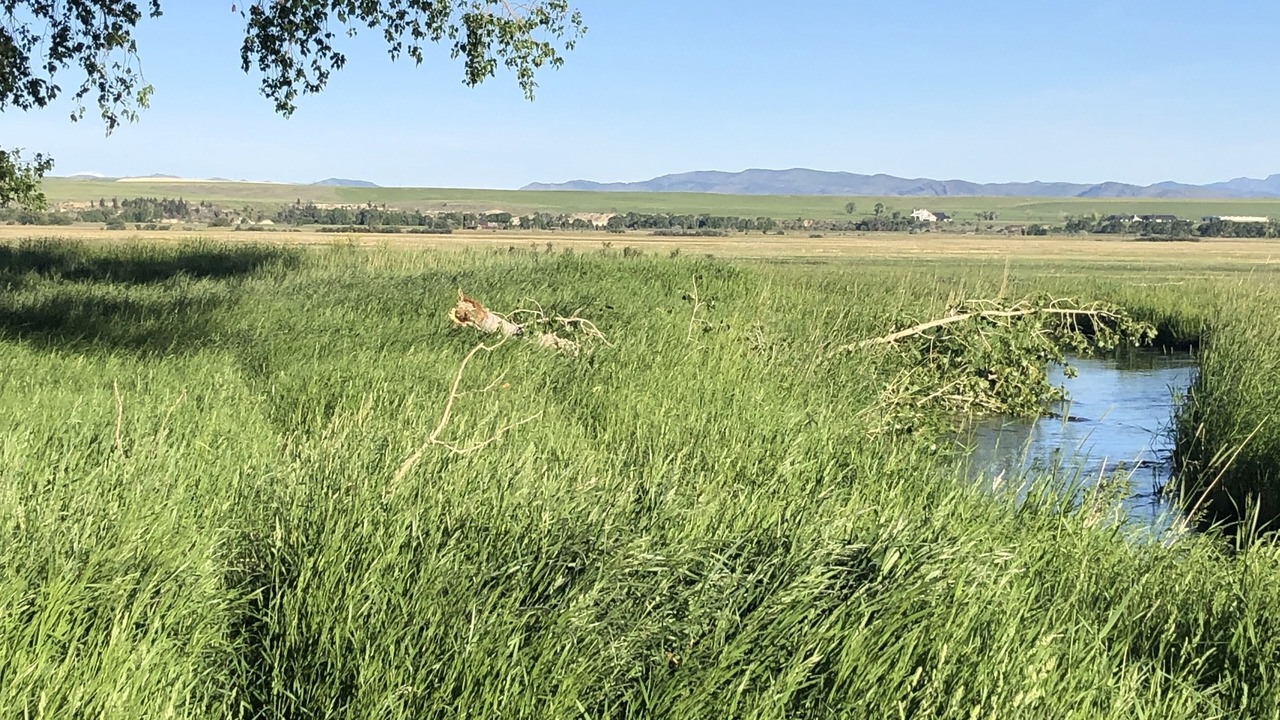 Photo of Outdoor in Three Forks