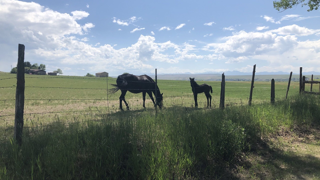Photo of Others in Three Forks