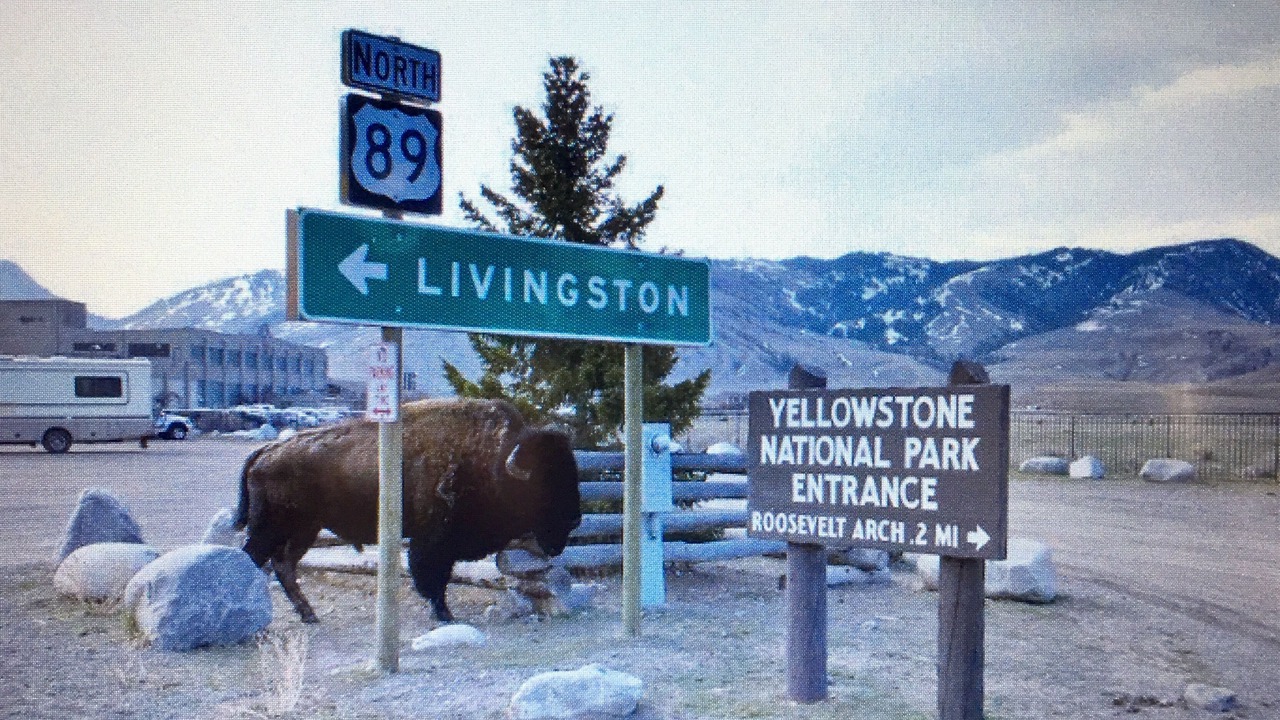 Photo of Outdoor in Livingston
