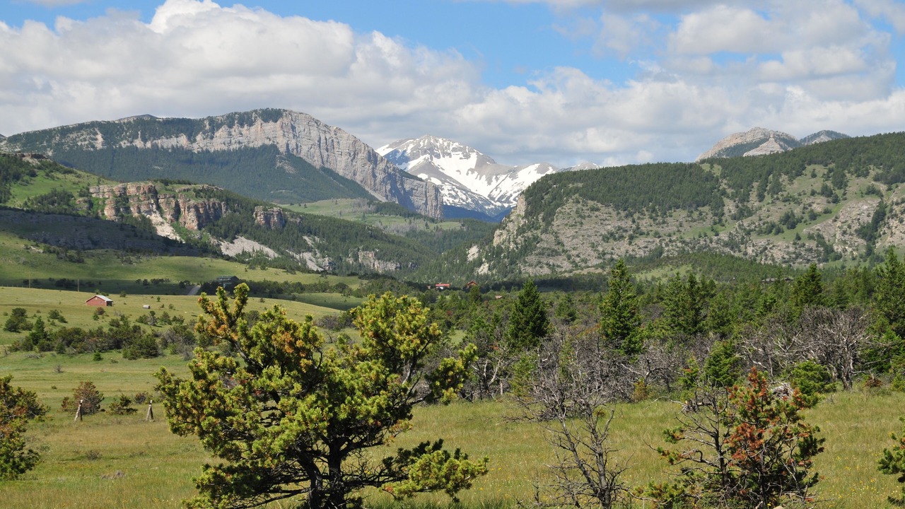 Photo of Others in Choteau