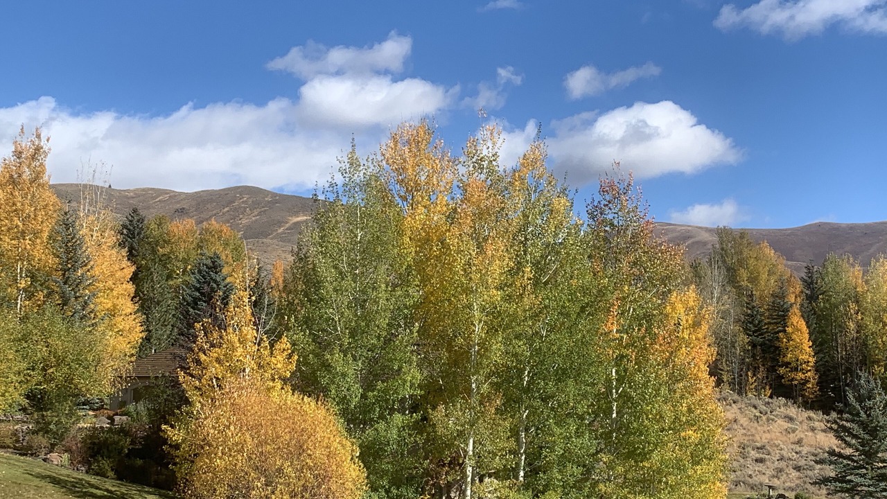 Photo of Outdoor in Elkhorn Village