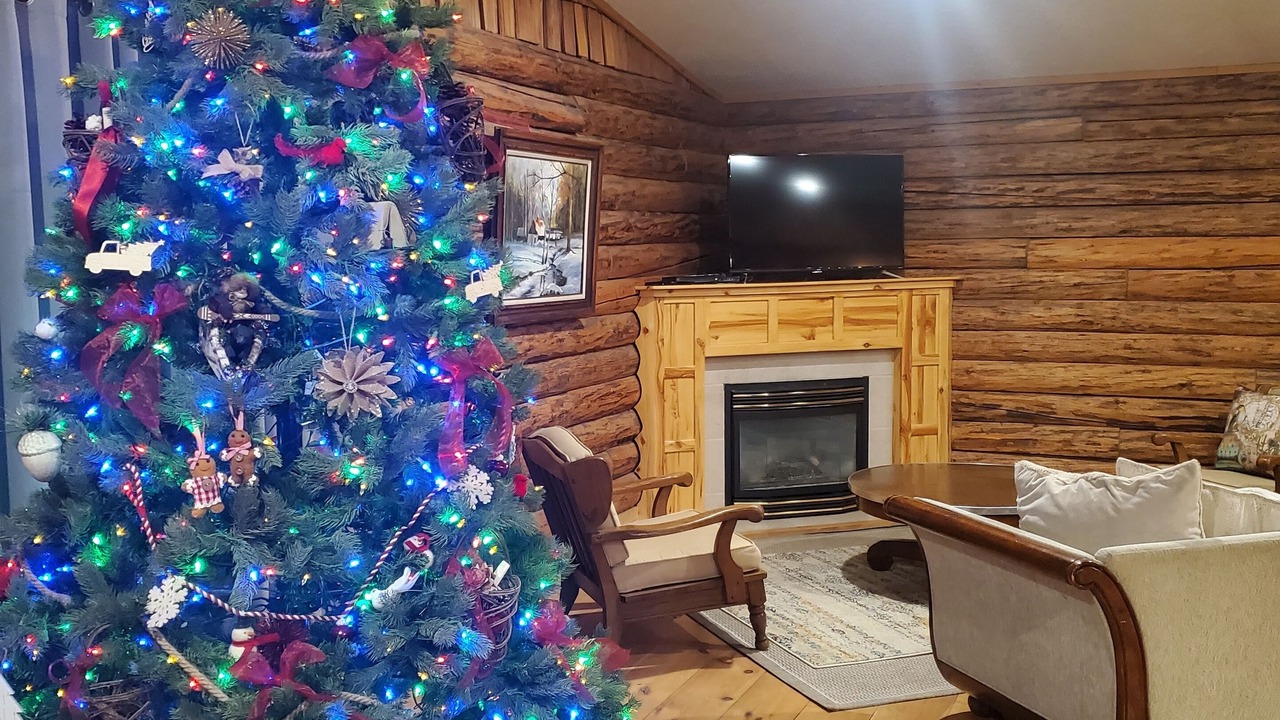 Photo of Livingroom in Bancroft