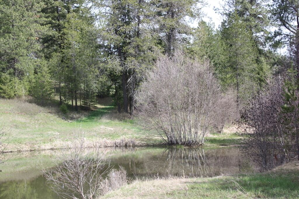 Photo of Others in Worley
