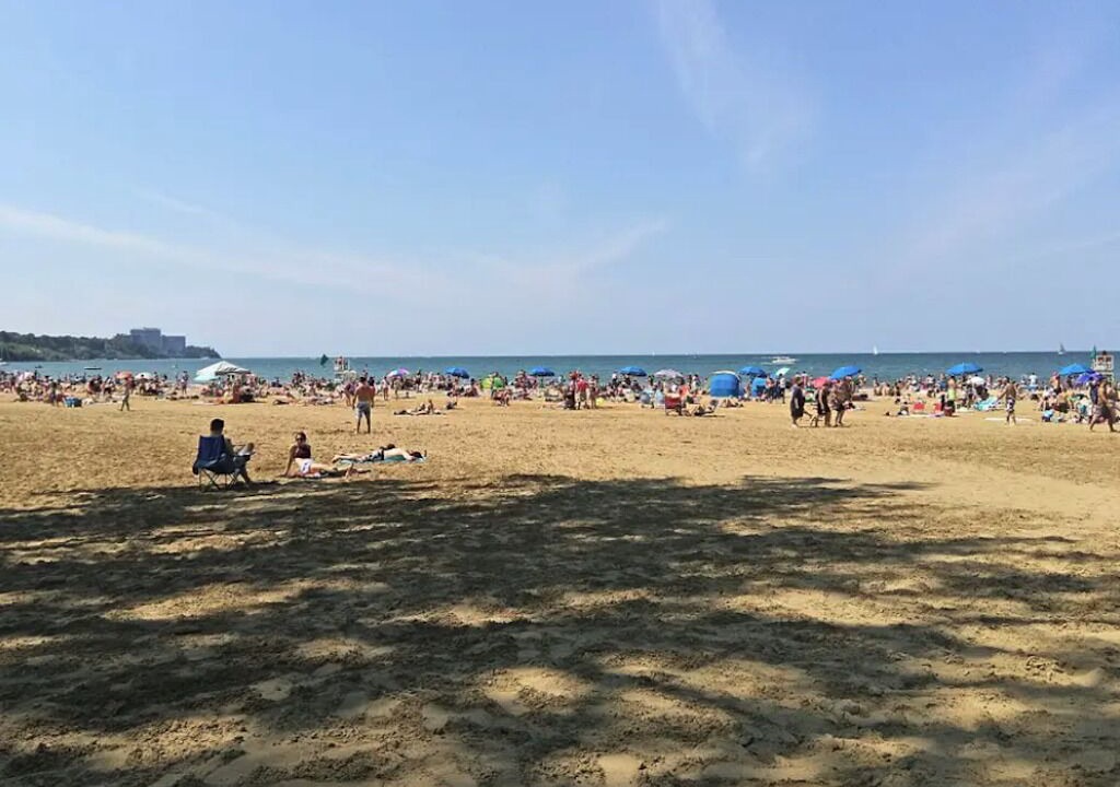 Photo of Others in Lakewood