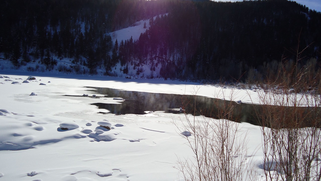 Photo of Others in Jackson Hole