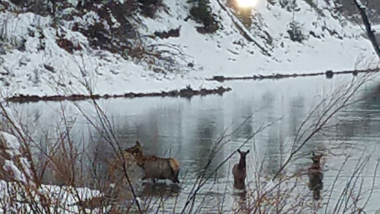 Photo of Outdoor in Jackson Hole
