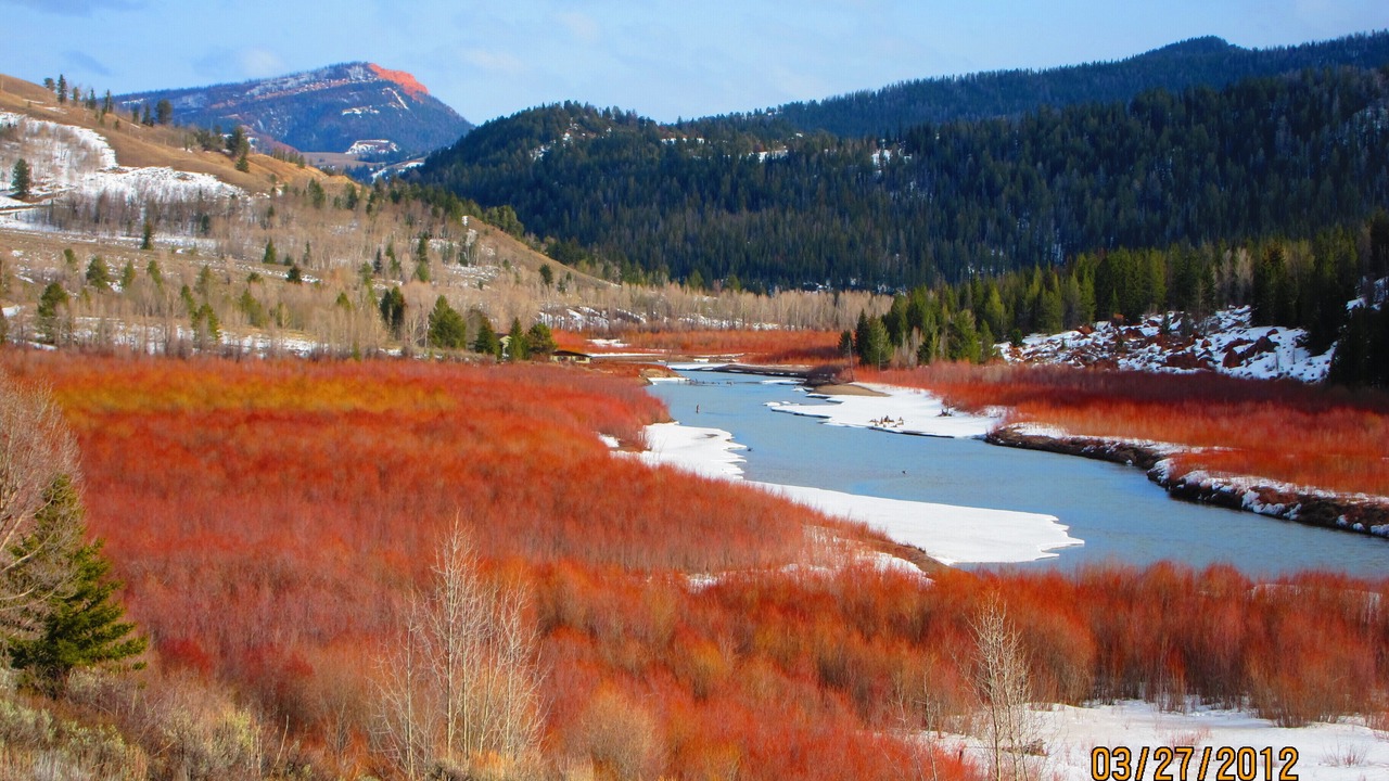 Photo of Others in Jackson Hole