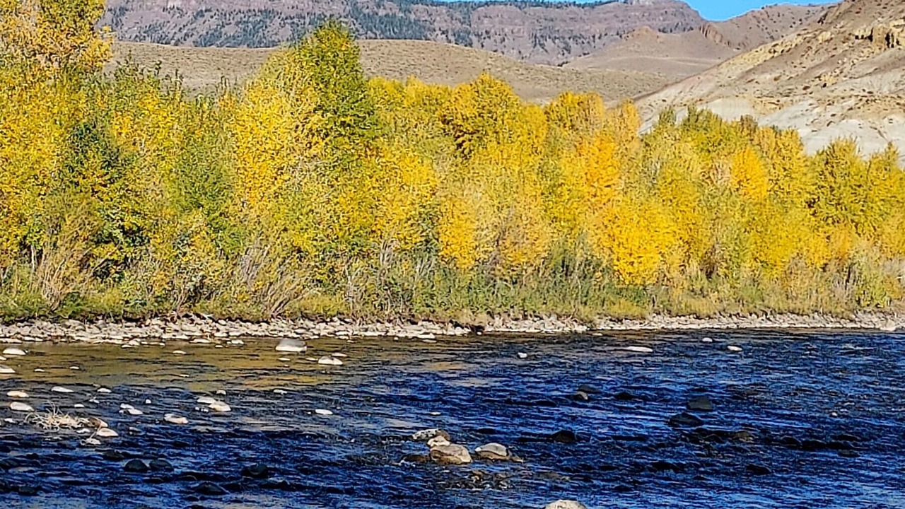 Photo of Others in Wapiti
