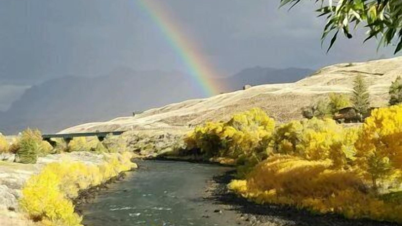Photo of Others in Wapiti