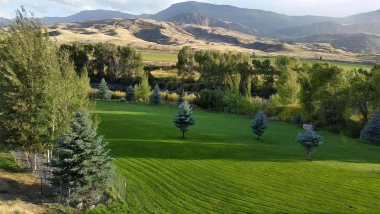Photo of Others in Wapiti