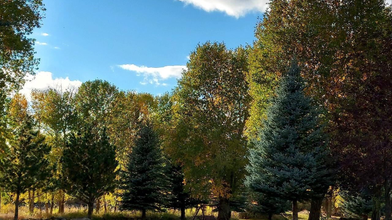Photo of Outdoor in Wapiti