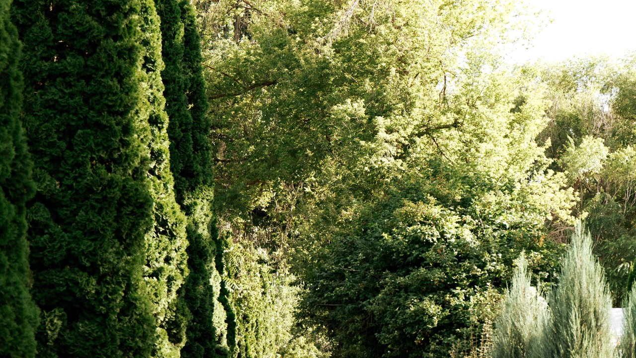 Photo of Outdoor in Eagle