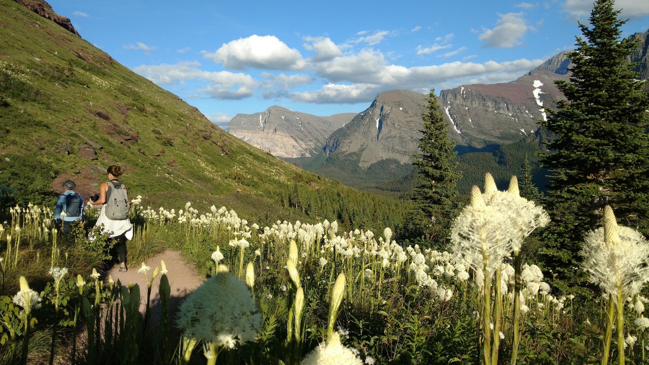 Photo of Outdoor in Babb