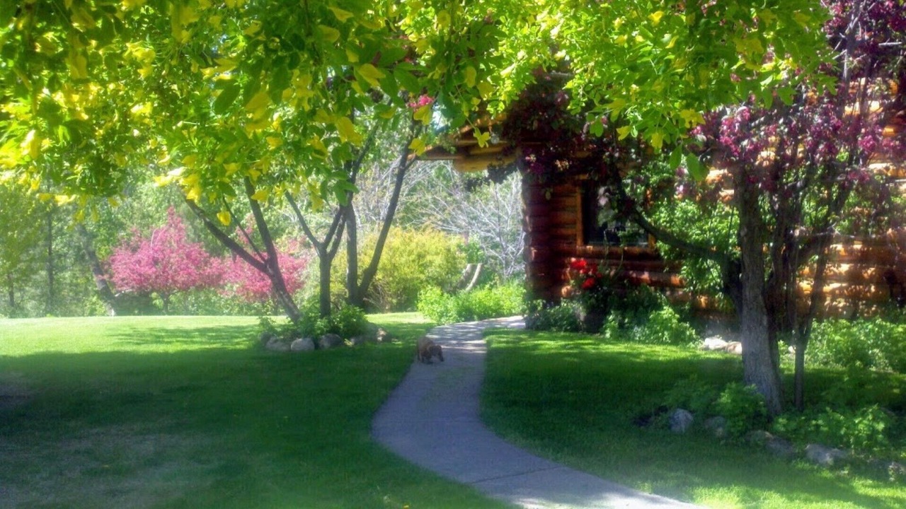 Photo of Outdoor in Stevensville