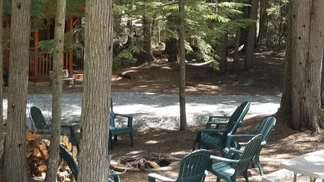 Photo of Others in Priest River