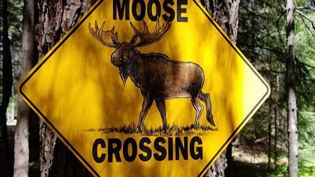 Photo of Outdoor in Priest River