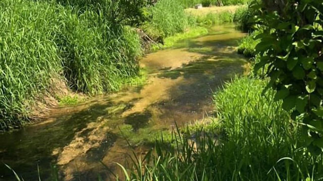 Photo of Others in Priest River