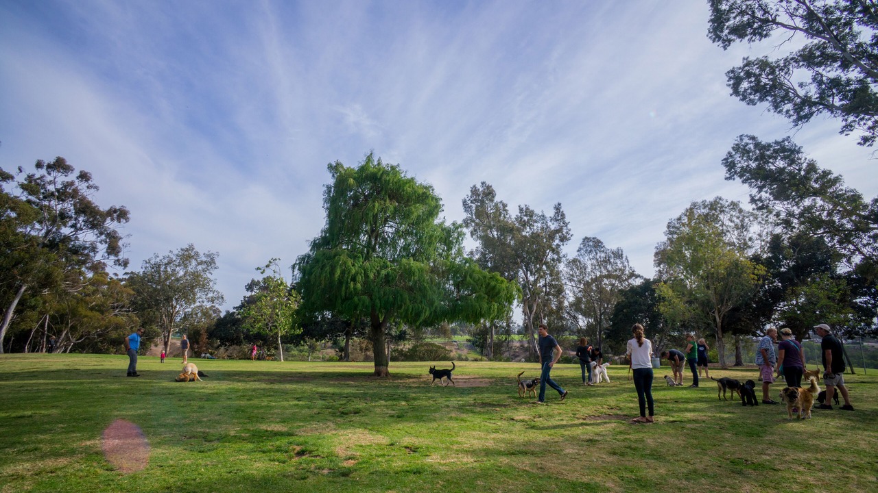 Photo of Others in South Park