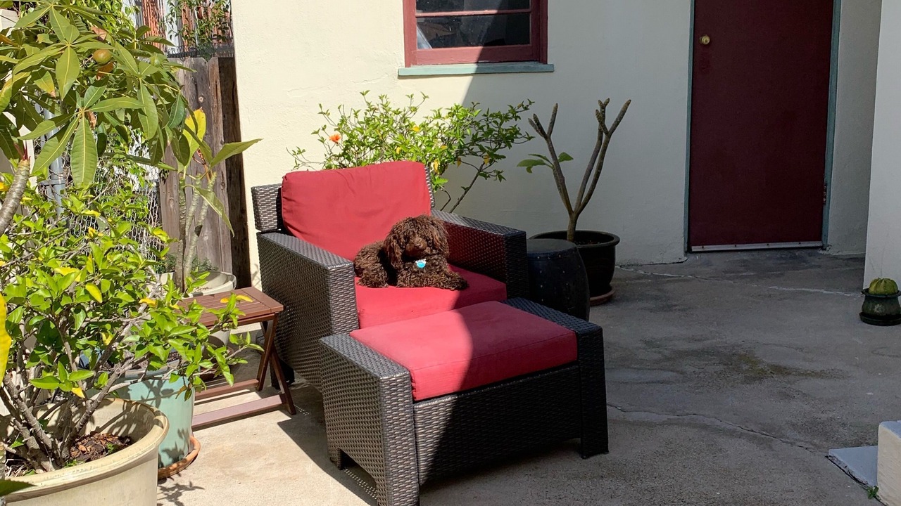 Photo of Patio Balcony in South Park