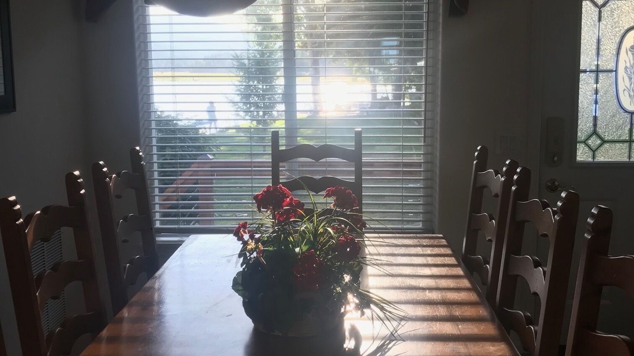 Photo of Outdoor in Rathdrum