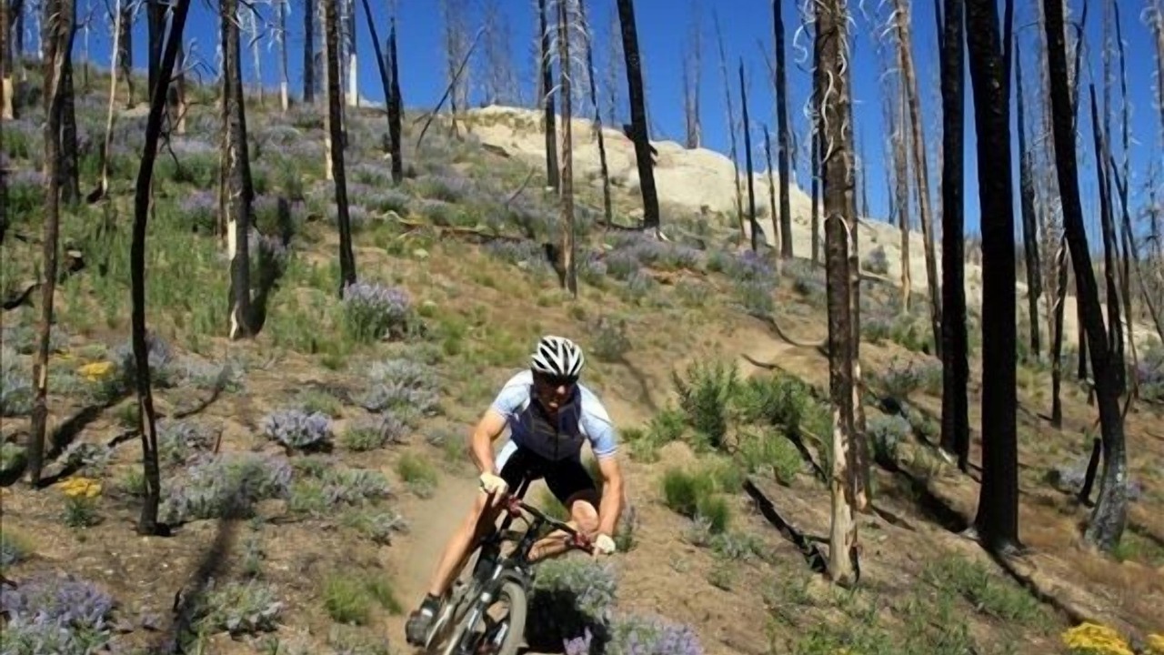 Photo of Others in Ketchum