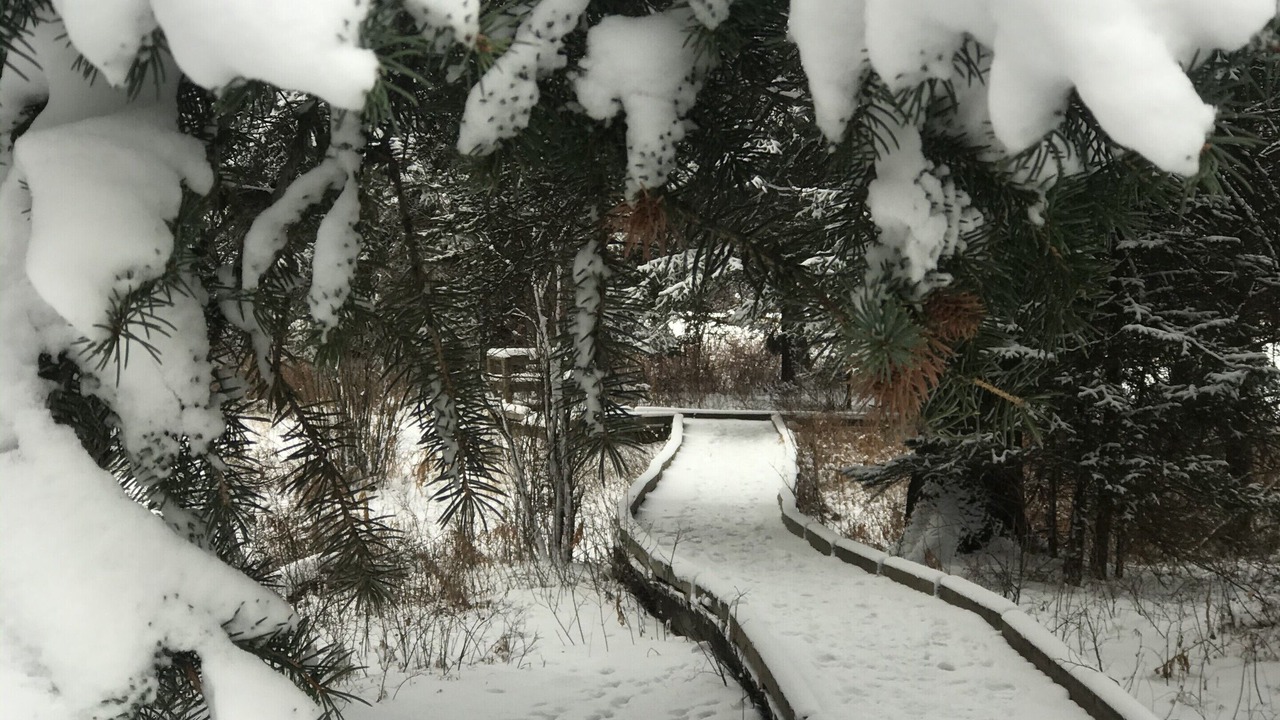 Photo of Outdoor in Jackson