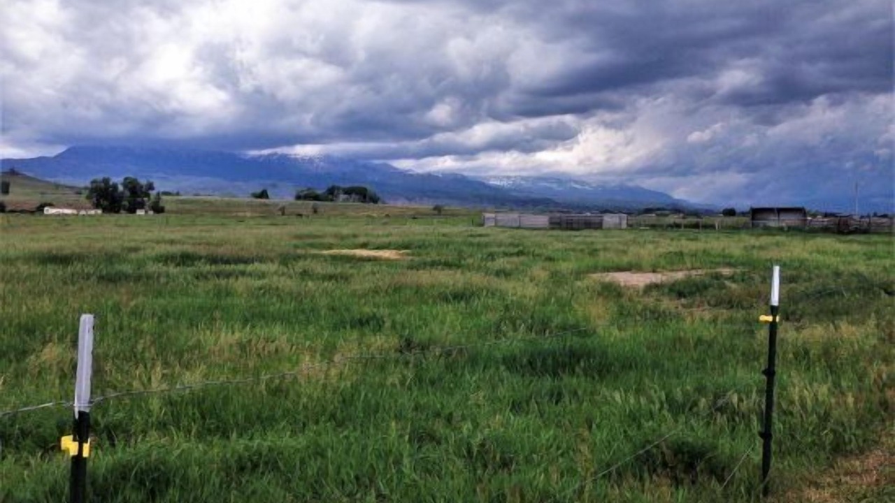 Photo of Outdoor in Cody