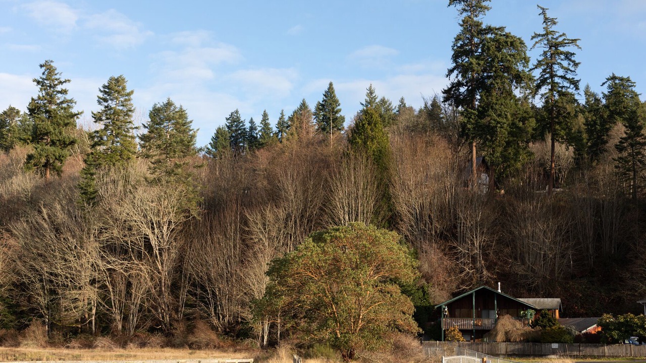 Photo of Outdoor in Clinton