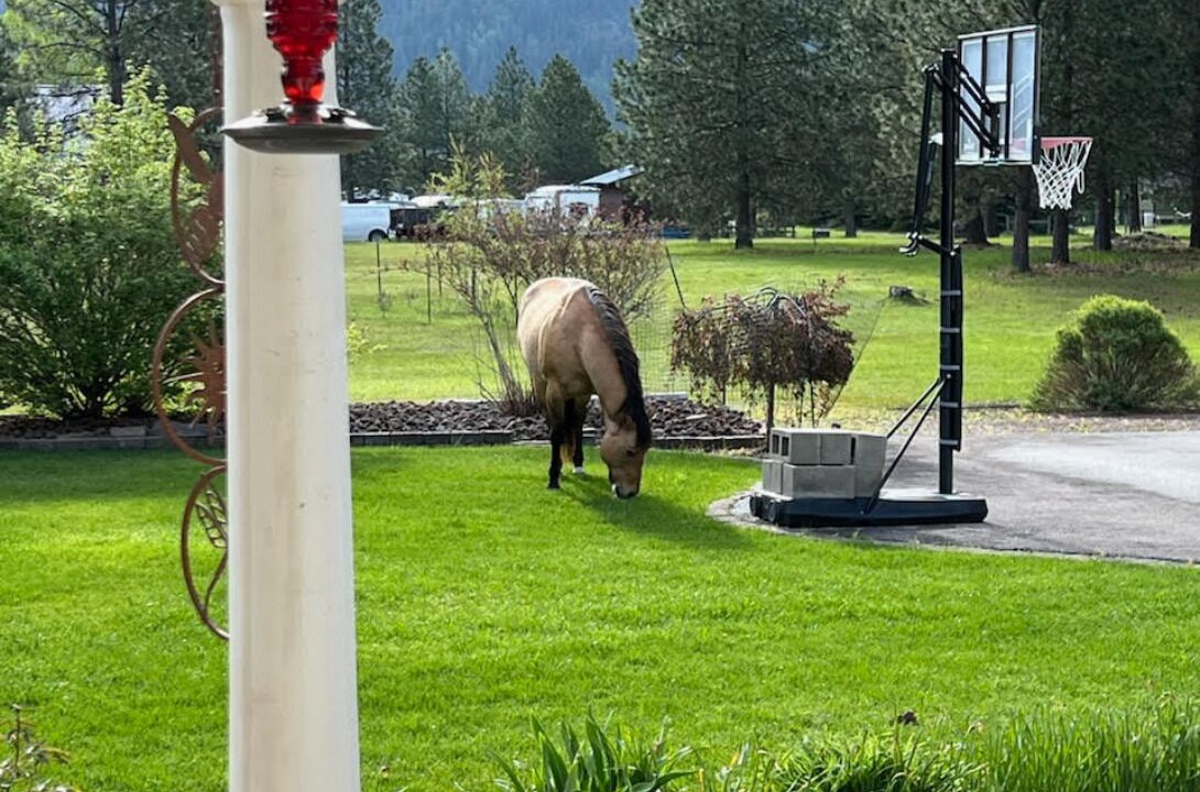 Photo of Others in Columbia Falls