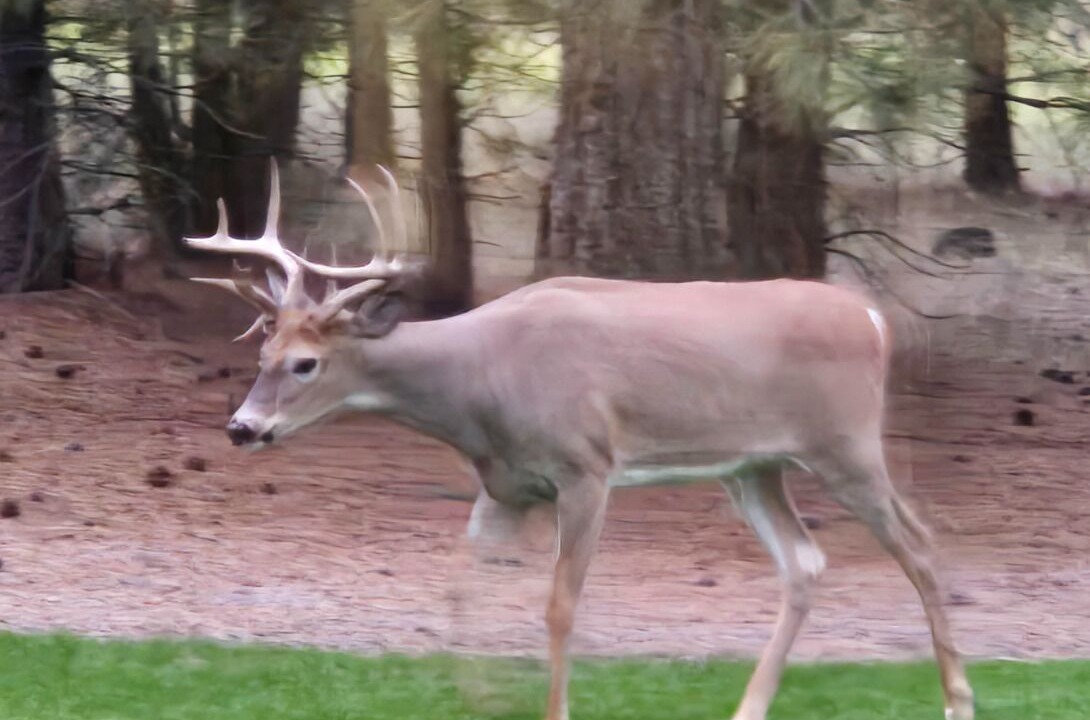 Photo of Others in Columbia Falls