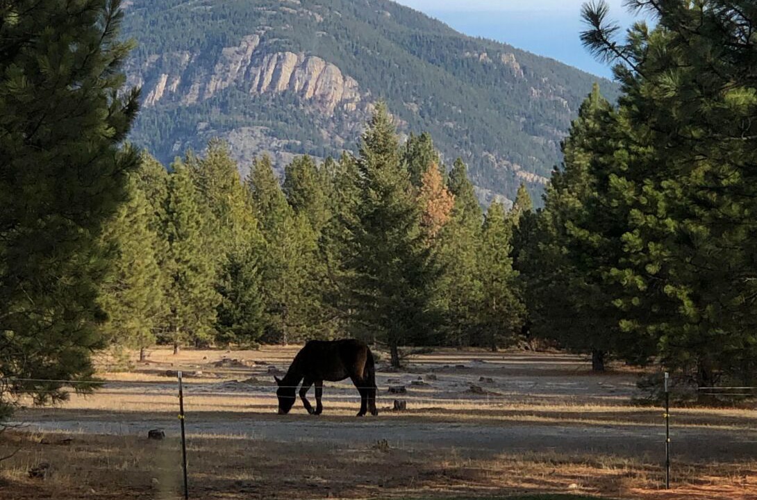 Photo of Others in Columbia Falls